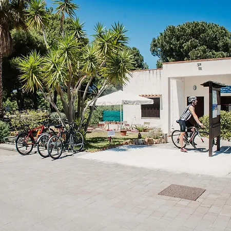 & Village Rais Gerbi