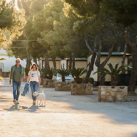 Holiday park & Village Rais Gerbi 3*