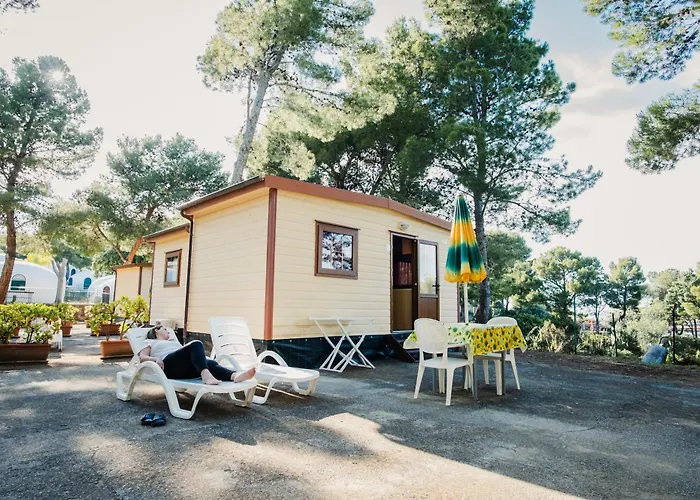 & Village Rais Gerbi